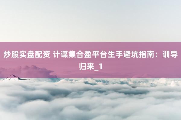 炒股实盘配资 计谋集合盈平台生手避坑指南：训导归来_1